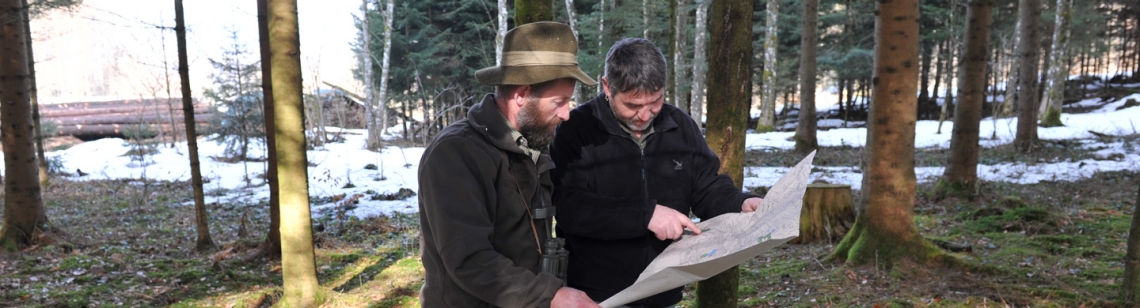 Symbolbild für Zusammenarbeit im Spannungsfeld Wald-Wild-Lebensraum; zwei Männer im Gespräch über einen Plan gebeugt im Wald