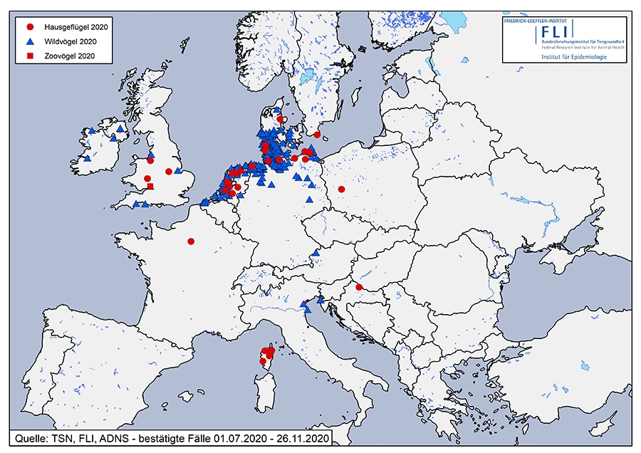 Vogelgrippe Gefahr Fur Europa Sg Ch