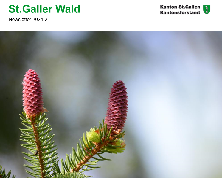 St.Galler Wald 2024-2